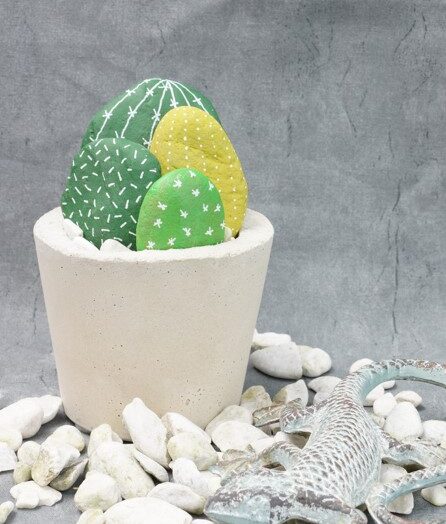 Ein Kaktus für den Schwager